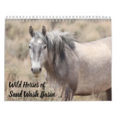 Wilde paarden van het zand- wasbekken kalender (Hoes)