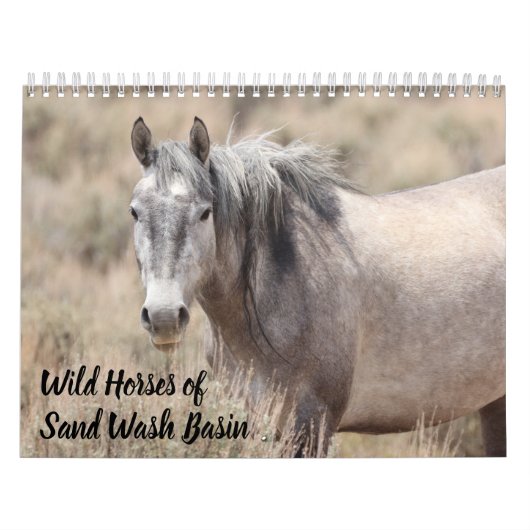 Wilde paarden van het zand- wasbekken kalender (Hoes)