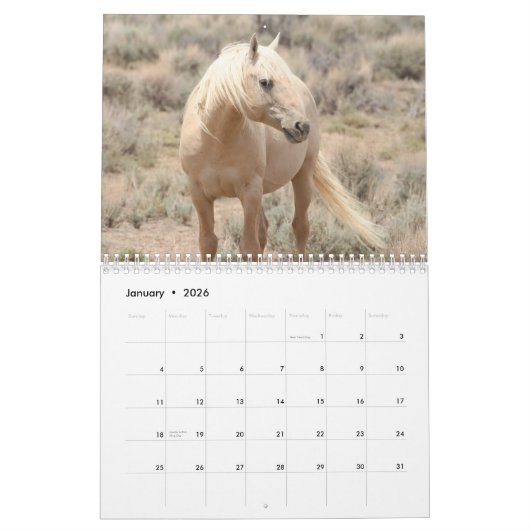 Wilde paarden van het zand- wasbekken kalender (Jan 2026)