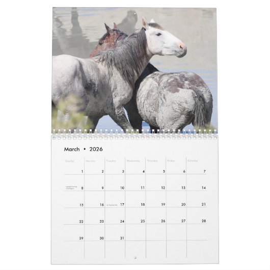 Wilde paarden van het zand- wasbekken kalender (Mar 2026)