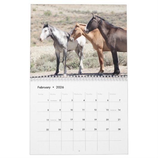 Wilde paarden van het zand- wasbekken kalender (Feb 2026)