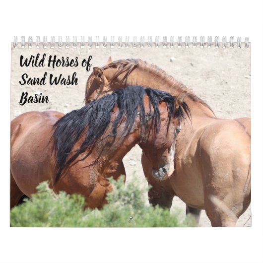 Wilde paarden van het zand- wasbekken kalender (Hoes)