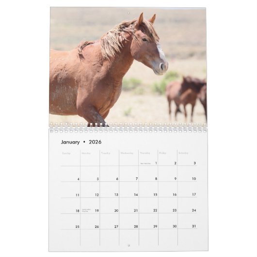 Wilde paarden van het zand- wasbekken kalender (Jan 2026)