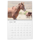Wilde paarden van het zand- wasbekken kalender (Jan 2027)