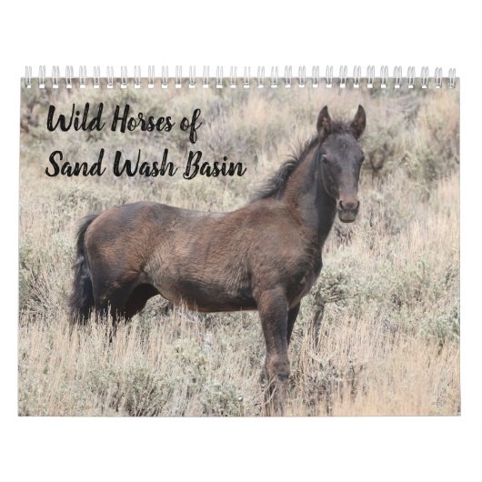 Wilde paarden van het zand- wasbekken kalender (Hoes)