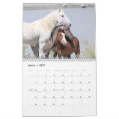 Wilde paarden van het zand- wasbekken kalender (Mar 2027)