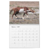Wilde paarden van het zand- wasbekken kalender (Feb 2027)
