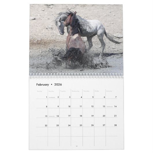 Wilde paarden van het zand- wasbekken kalender (Feb 2026)