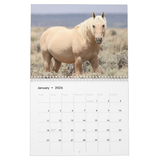 Wilde paarden van het zand- wasbekken kalender (Jan 2026)