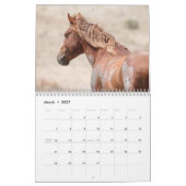 Wilde paarden van het zand- wasbekken kalender (Mar 2027)