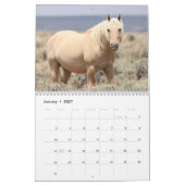 Wilde paarden van het zand- wasbekken kalender (Jan 2027)