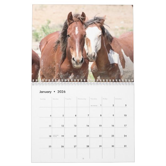 Wilde paarden van het zand- wasbekken kalender (Jan 2026)
