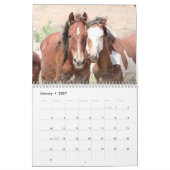 Wilde paarden van het zand- wasbekken kalender (Jan 2027)