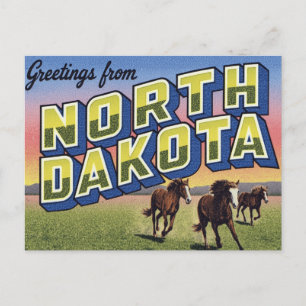 Wilde paarden van North Dakota Prairie Briefkaart