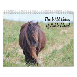 Wilde Paarden van Sable Island Kalender