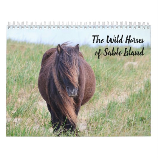 Wilde Paarden van Sable Island Kalender (Hoes)