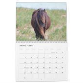 Wilde Paarden van Sable Island Kalender (Jan 2027)