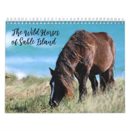 Wilde paarden van Sable Island Kalender