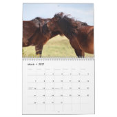 Wilde paarden van Sable Island Kalender (Mar 2027)
