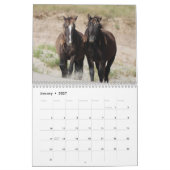 Wilde paarden van Sable Island Kalender (Jan 2027)