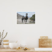 Wilde paarden van Utah in galop Poster (Keuken)