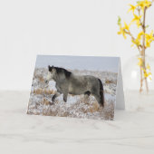 WILDE PAARDEN VAN UTAH IN HET WENSKAART KAART (Gele Bloem)