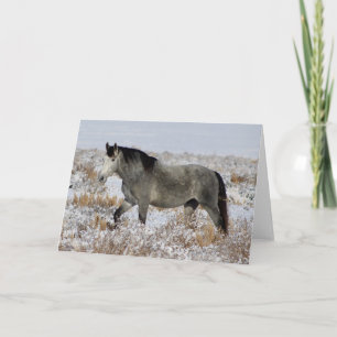 WILDE PAARDEN VAN UTAH IN HET WENSKAART KAART