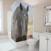 WILDE PAARDEN VAN UTAH KANJI VRIJHEID DOUCHE GORDI DOUCHEGORDIJN (In situ)