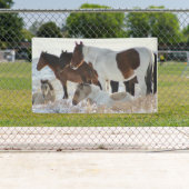 WILDE PAARDEN VAN UTAH ONAQUI HERD BANNER (Insitu)
