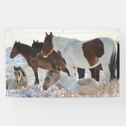 WILDE PAARDEN VAN UTAH ONAQUI HERD BANNER (Horizontaal)