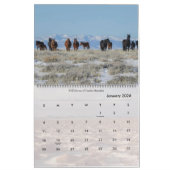 Wilde paarden van Wyoming Kalender (Jan 2026)