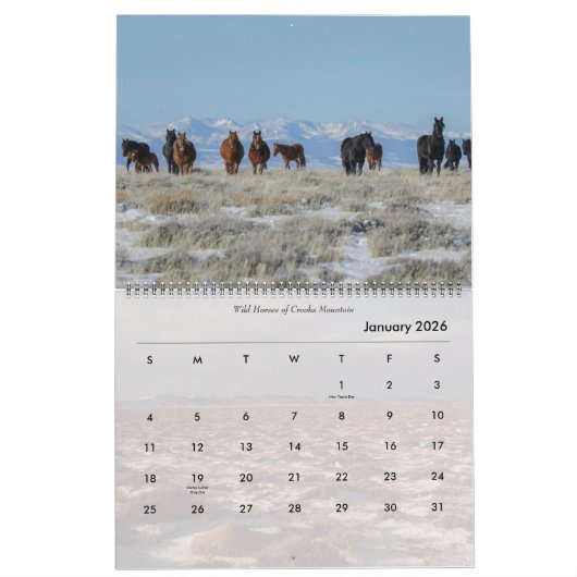 Wilde paarden van Wyoming Kalender (Jan 2026)