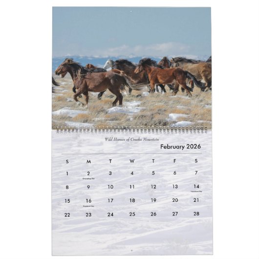 Wilde paarden van Wyoming Kalender (Feb 2026)