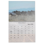 Wilde paarden van Wyoming Kalender (Mar 2026)