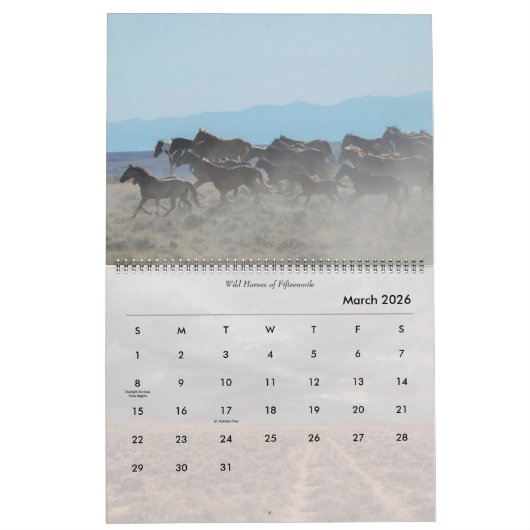 Wilde paarden van Wyoming Kalender (Mar 2026)