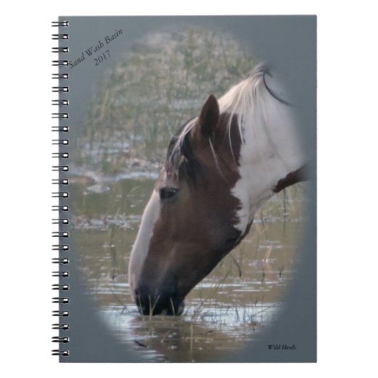 Wilde paarden van Zand Wash Basin Notebook Notitieboek (Voorkant)