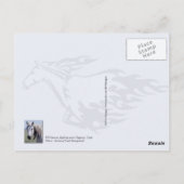 Wilde paarden vechten, Utah Briefkaart (Achterkant)