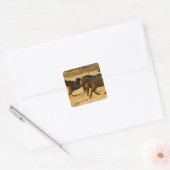 Wilde paarden vierkante sticker (Envelop)