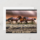 Wilde paarden - wees wild. wees vrij. briefkaart (Voorkant / Achterkant)