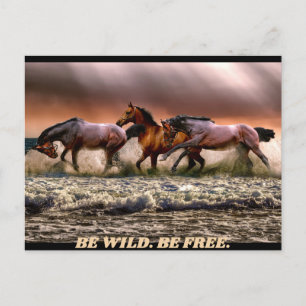Wilde paarden - wees wild. wees vrij. briefkaart