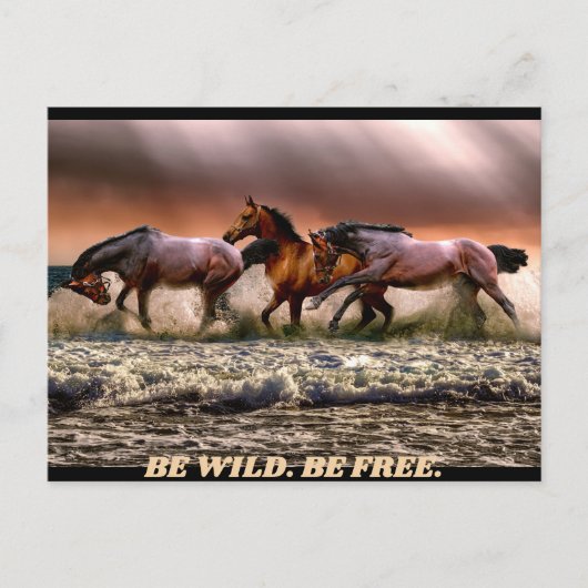 Wilde paarden - wees wild. wees vrij. briefkaart (Voorkant)