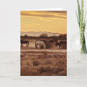 Wilde Paarden Wenskaart – Arizona Zonsondergang Pa Kaart