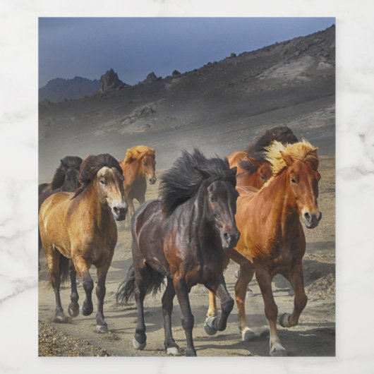 Wilde paarden wijn etiket (Enkel label)