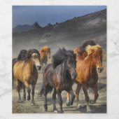 Wilde paarden wijn etiket (Enkel label)