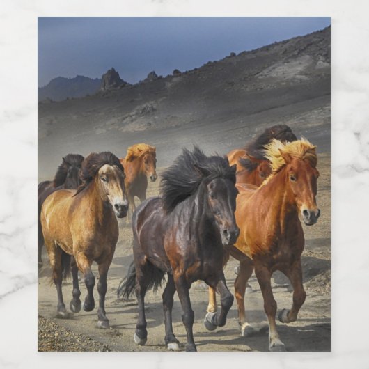 Wilde paarden wijn etiket (Enkel label)