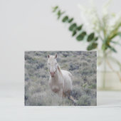 Wilde paarden, wilde dieren, briefkaart (Staand voorkant)