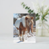 Wilde paarden, wilde dieren, briefkaart (Staand voorkant)