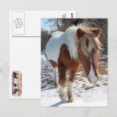 Wilde paarden, wilde dieren, briefkaart (Voorkant / Achterkant)