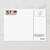 Wilde paarden, wilde dieren, briefkaart (Achterkant)