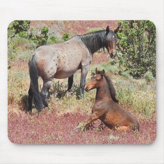 Wilde paarden, wilde dieren, muismatten (Voorkant)